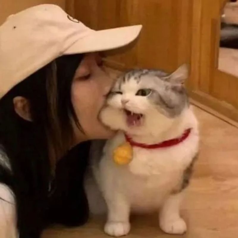 Ảnh cô gái cắn má mèo