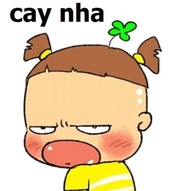 meme cay cú nha