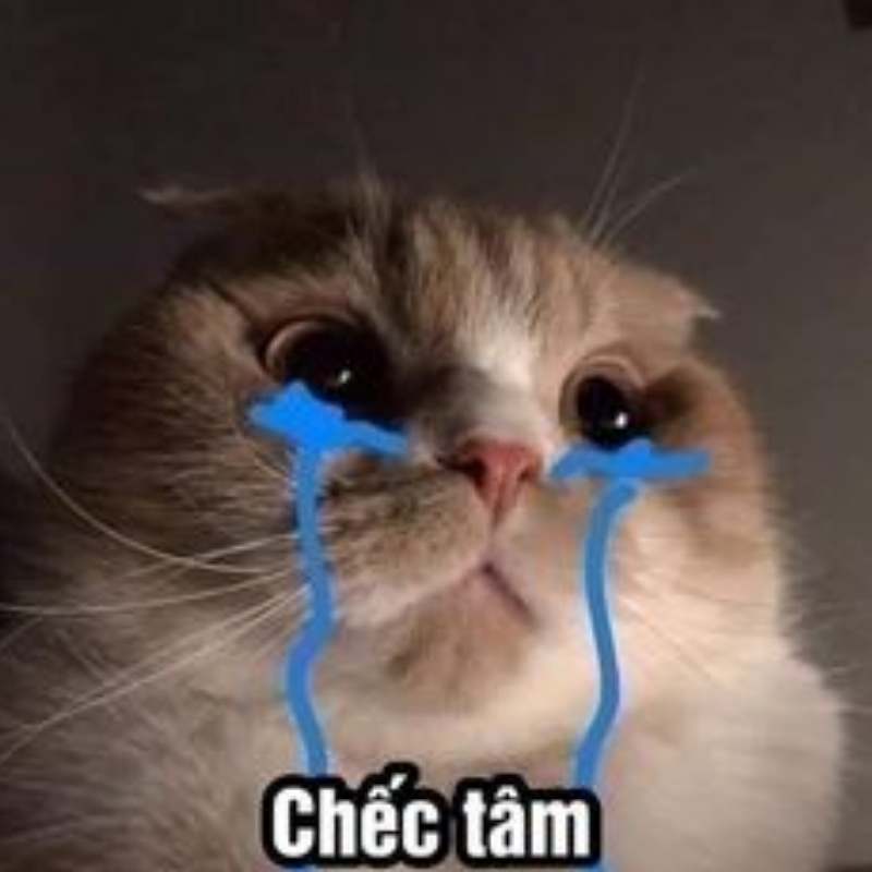 Ảnh meme chết tâm