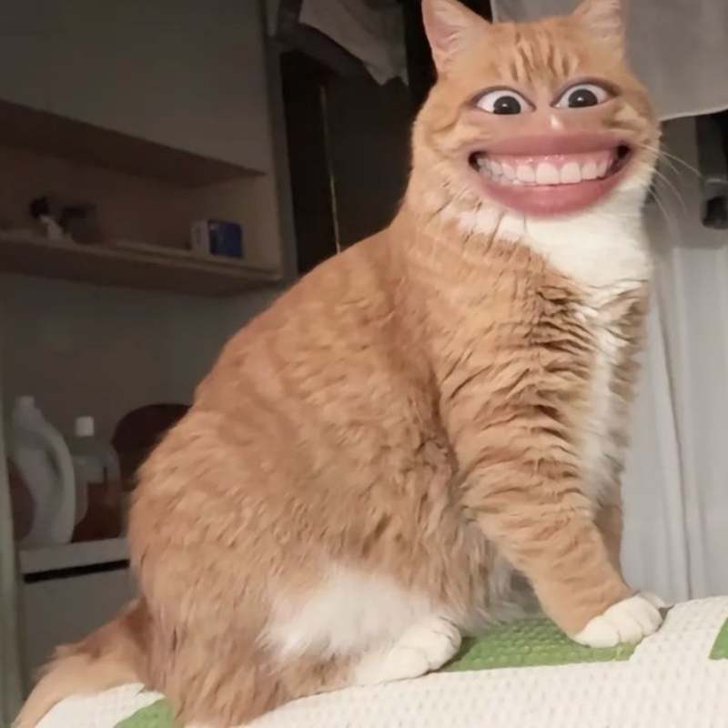 Meme cười muốn chết