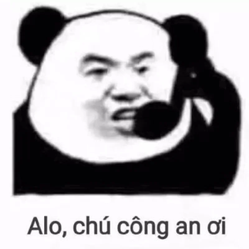 ảnh chế gấu trúc báo công an