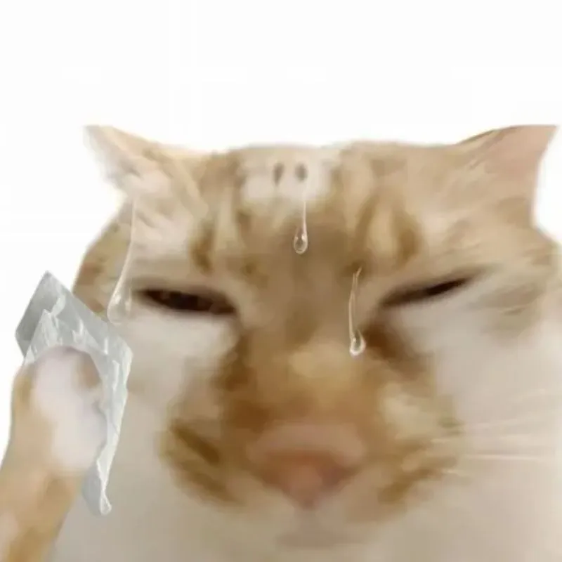 Ảnh chế meme mèo vã mồ hôi hột lờ đờ cầm khăn giấy lau trán