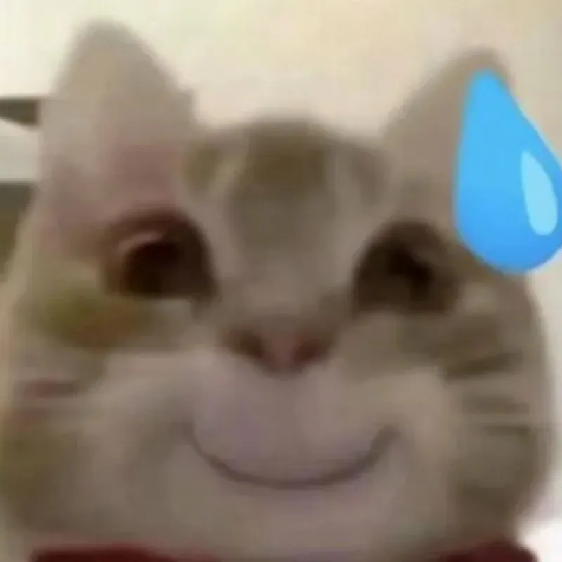 Meme mèo đổ mồ hôi mỉm cười gượng gạo cực kỳ chột dạ