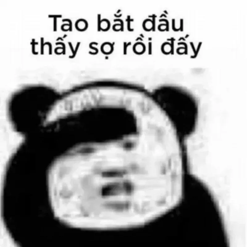 Meme gấu trúc hoảng loạn toát mồ hôi kèm caption tao bắt đầu thấy sợ rồi đấy