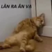 Meme giãy đành đạch