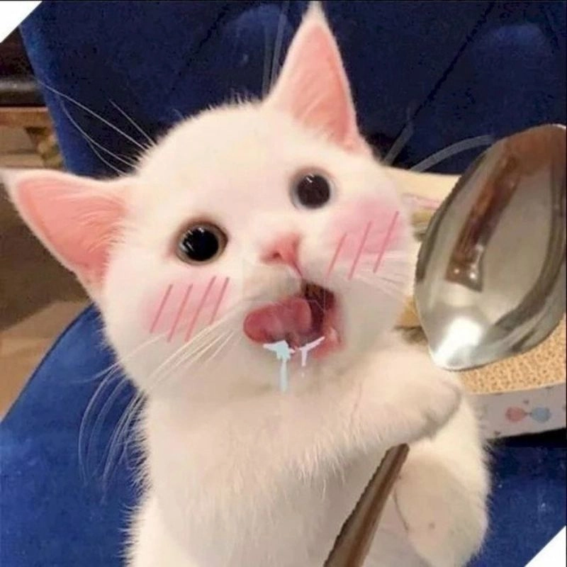 Meme há mồm chảy nước miếng thèm ăn