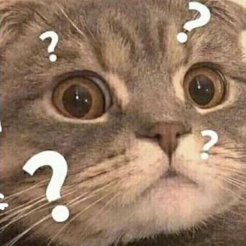 Meme mèo khó hiểu