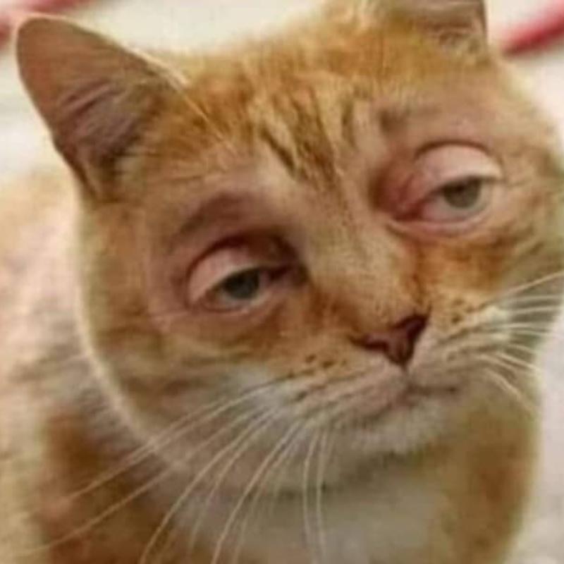 meme mất ngủ quầng thâm mắt hài hước khiến bạn cười ngất