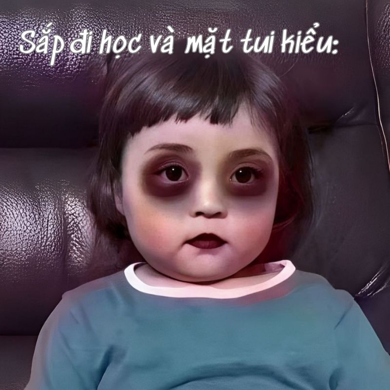 Meme thâm mắt mệt mỏi vì sắp đi học