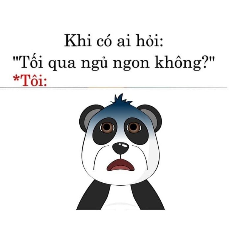 Meme mắt thâm gấu trúc đáng yêu