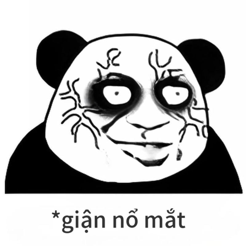 Meme gấu trúc giận nổ mắt với quầng thâm cực đậm do thức đêm quá nhiều.