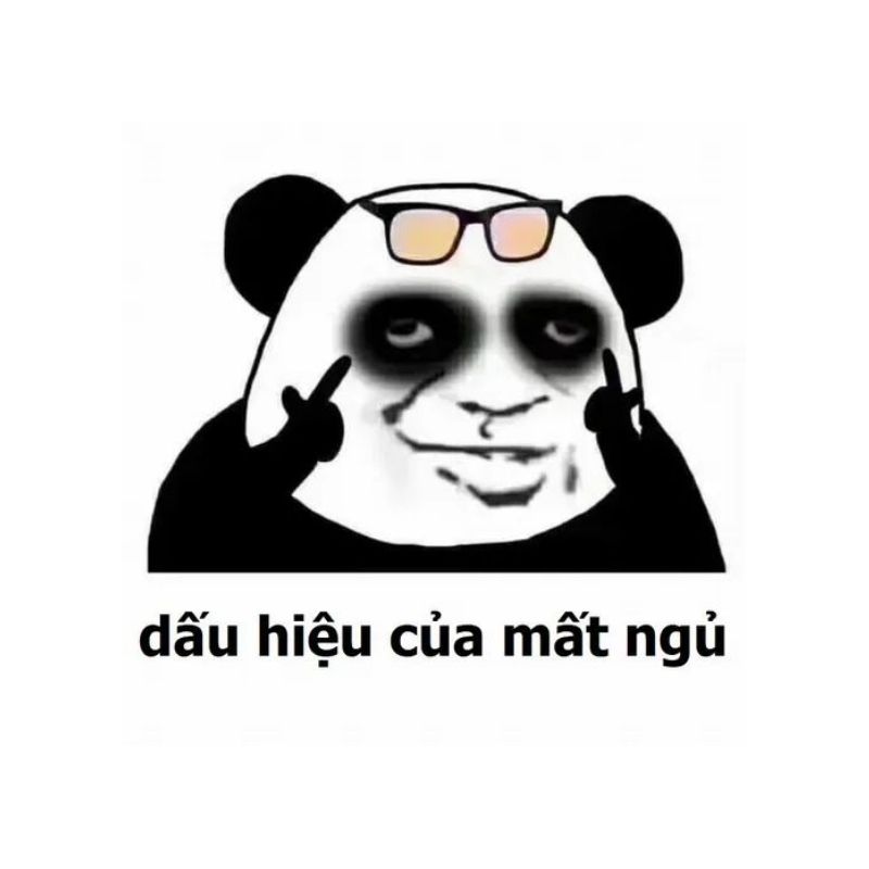 Meme mắt thâm gấu trúc vui nhộn