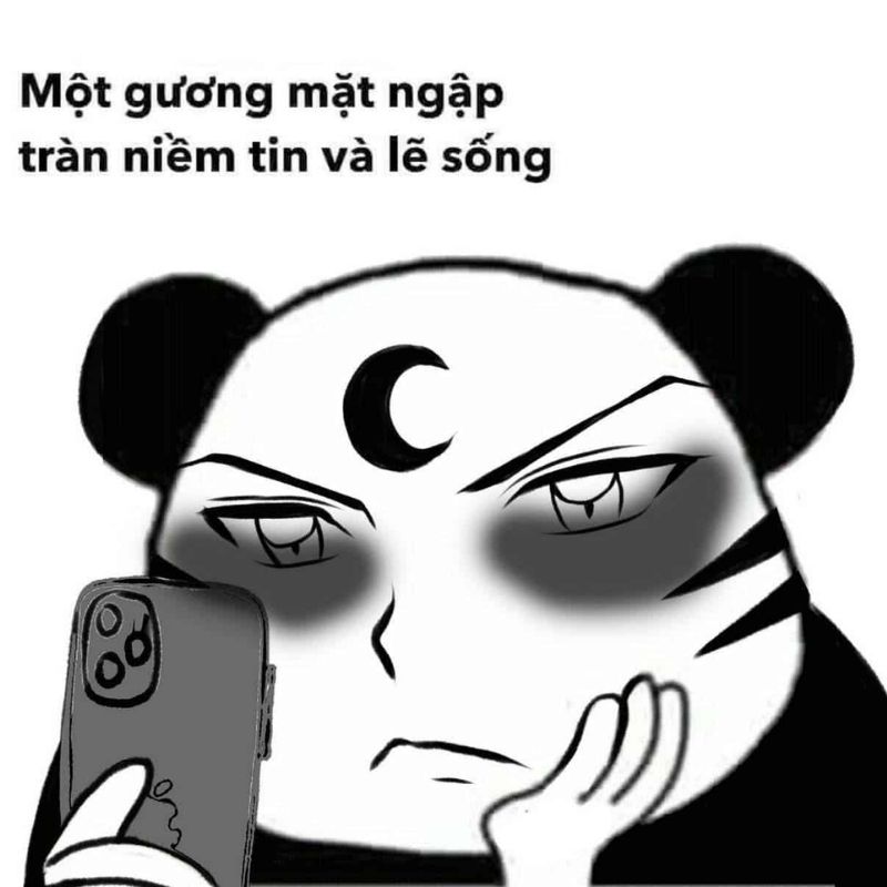 Meme mèo mắt thâm khi thức khuya