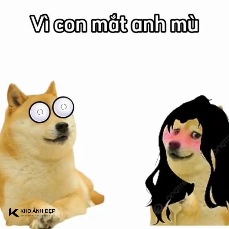 meme mù mắt