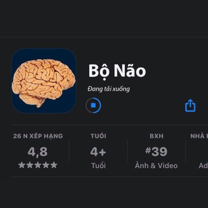 99+ meme não to cà khịa cực gắt với loạt ảnh chế siêu hài 21 Meme não to đang load hài hước