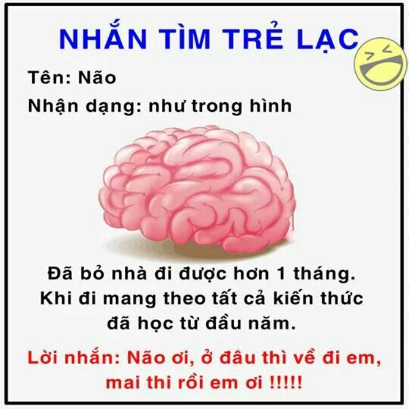 99+ meme não to cà khịa cực gắt với loạt ảnh chế siêu hài 18 meme não to