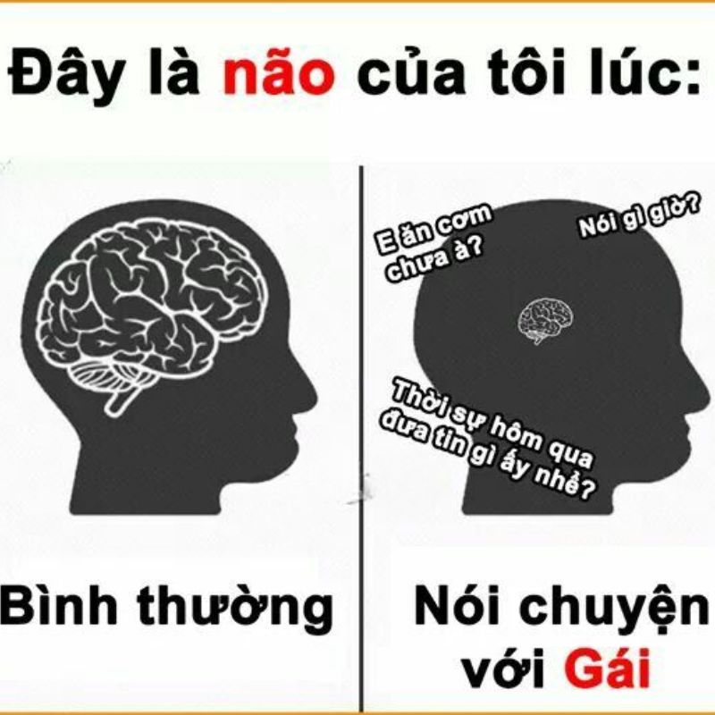99+ meme não to cà khịa cực gắt với loạt ảnh chế siêu hài 20 Meme não to não nhỏ suy nghĩ hài hước