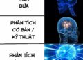 meme não to
