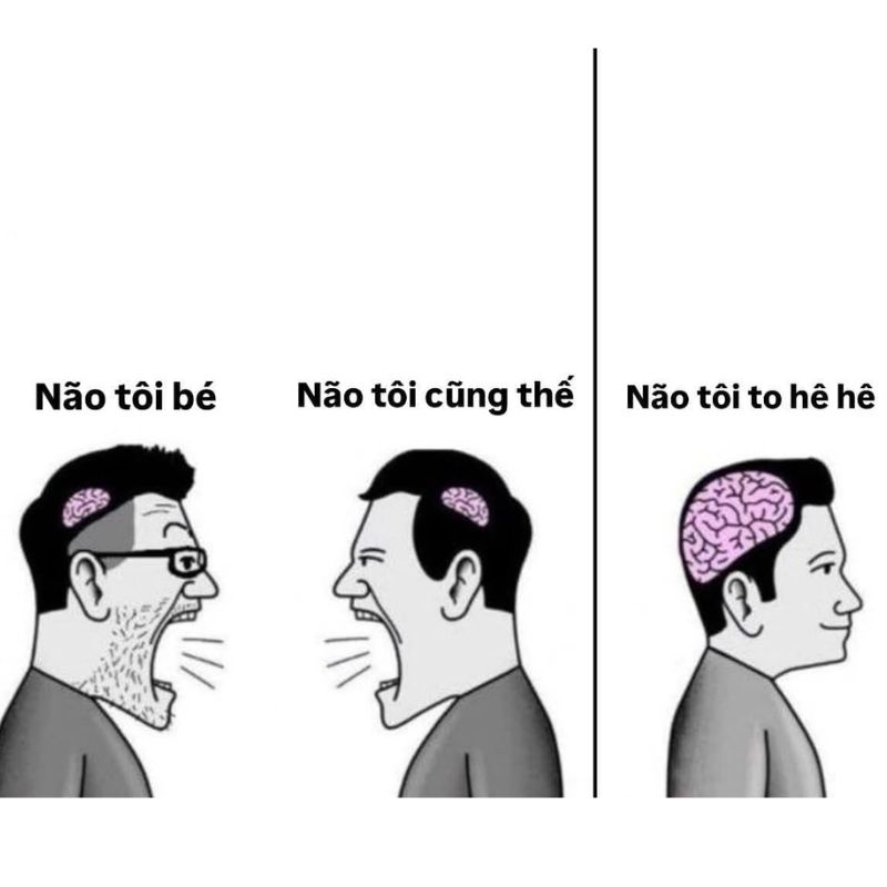 99+ meme não to cà khịa cực gắt với loạt ảnh chế siêu hài 1 Meme não nhỏ chửi não to gây cười cực mạnh