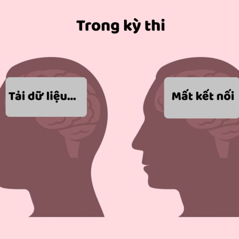 99+ meme não to cà khịa cực gắt với loạt ảnh chế siêu hài 3 Meme não to đang load khi kỳ thi sắp tới