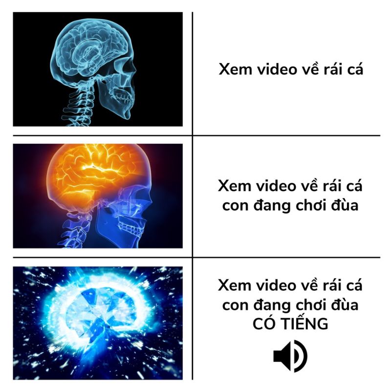 99+ meme não to cà khịa cực gắt với loạt ảnh chế siêu hài 4 hình ảnh bộ não meme khi nghe nhạc rái cá