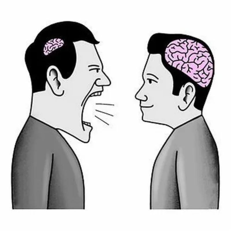 99+ meme não to cà khịa cực gắt với loạt ảnh chế siêu hài 13 Meme não nhỏ chửi não to