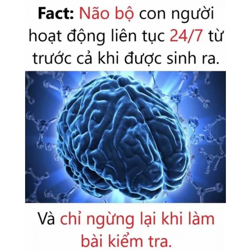 99+ meme não to cà khịa cực gắt với loạt ảnh chế siêu hài 14 meme não to