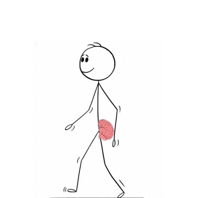 99+ meme não to cà khịa cực gắt với loạt ảnh chế siêu hài 25 meme não to mọc ở mông hài hước