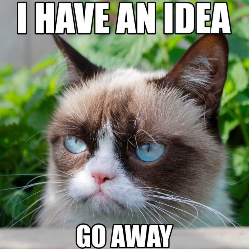 15+ Meme nổi tiếng nhất thế giới và Việt Nam cực viral 16 I have an idea go away meme mèo quạo