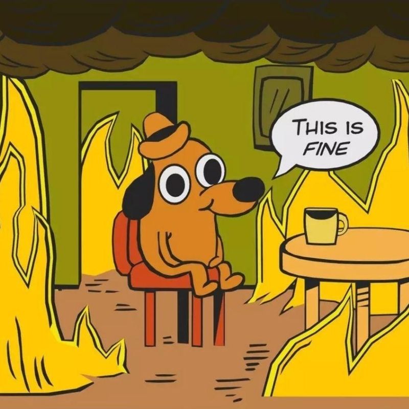 15+ Meme nổi tiếng nhất thế giới và Việt Nam cực viral 19 Meme This is fine