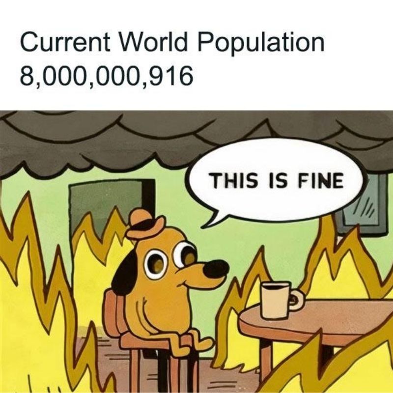 15+ Meme nổi tiếng nhất thế giới và Việt Nam cực viral 21 Ảnh meme chú chó ngồi trong đám cháy