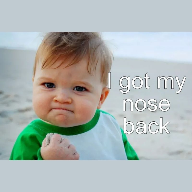 15+ Meme nổi tiếng nhất thế giới và Việt Nam cực viral 28 I got my nose back meme Success Kid