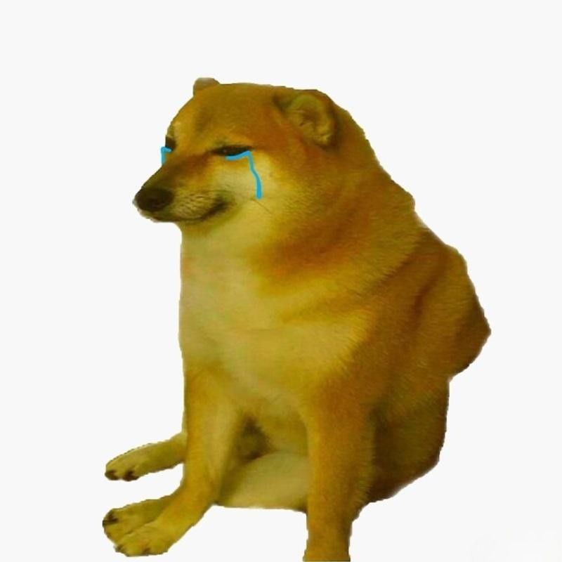 15+ Meme nổi tiếng nhất thế giới và Việt Nam cực viral 31 Meme Doge Cheems