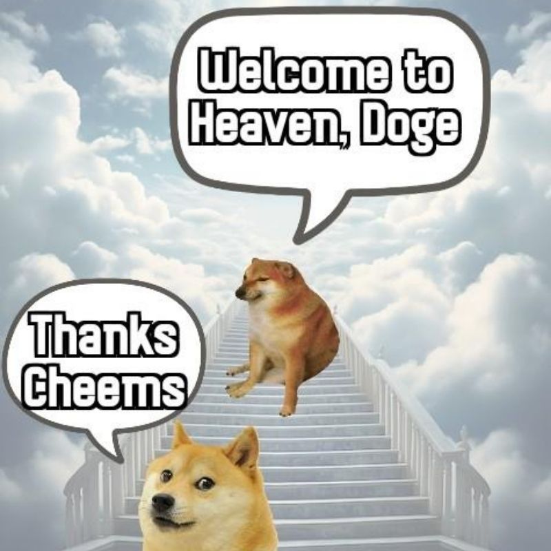 15+ Meme nổi tiếng nhất thế giới và Việt Nam cực viral 32 Ảnh chế Doge Cheems hài hước
