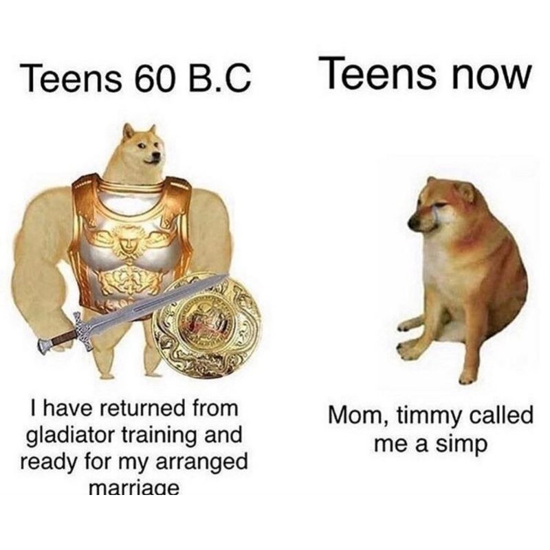 15+ Meme nổi tiếng nhất thế giới và Việt Nam cực viral 33 Ảnh chế chú chó Cheems