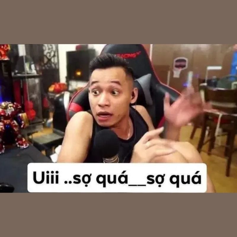 15+ Meme nổi tiếng nhất thế giới và Việt Nam cực viral 40 Meme ui sợ quá sợ quá Độ Mixi