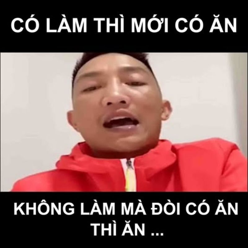15+ Meme nổi tiếng nhất thế giới và Việt Nam cực viral 46 Có làm thì mới có ăn meme thầy Huấn Hoa Hồng