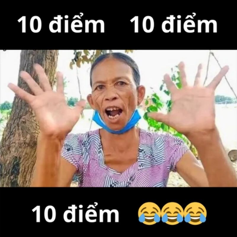 15+ Meme nổi tiếng nhất thế giới và Việt Nam cực viral 51 Meme 10 điểm viral tiktok