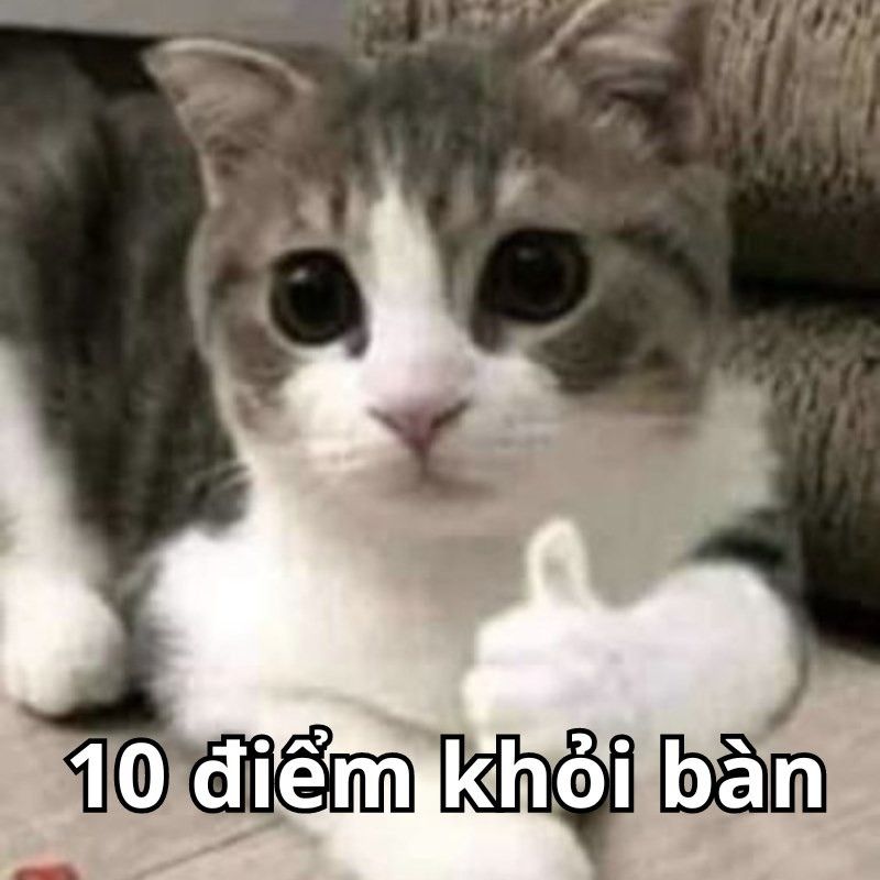 15+ Meme nổi tiếng nhất thế giới và Việt Nam cực viral 52 Ảnh chế 10 điểm khỏi bàn
