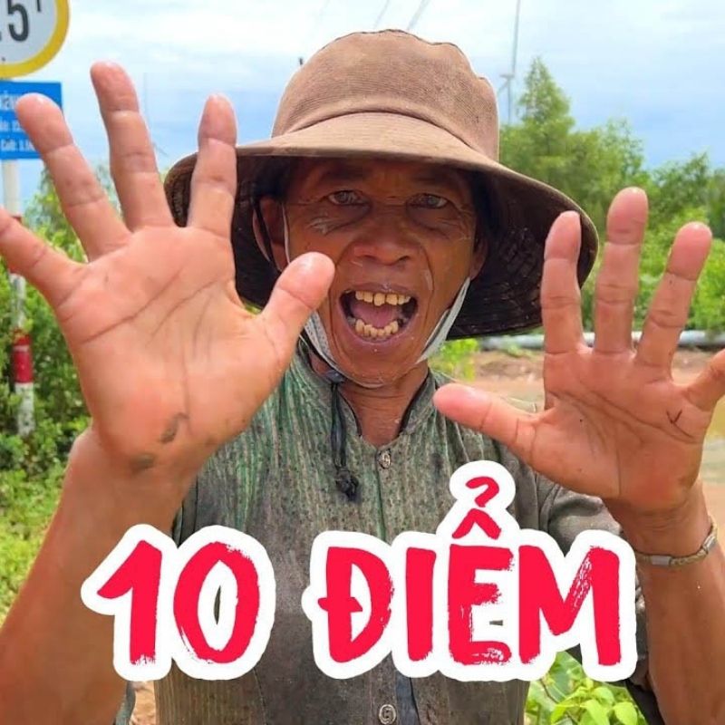 15+ Meme nổi tiếng nhất thế giới và Việt Nam cực viral 54 10 điểm meme khen