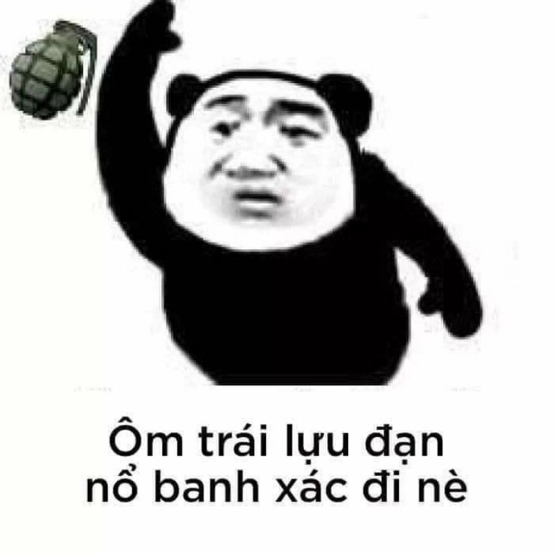 15+ Meme nổi tiếng nhất thế giới và Việt Nam cực viral 59 Meme gấu trúc Baozou