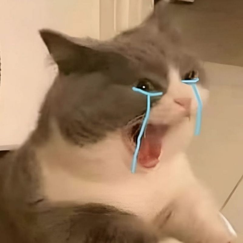 15+ Meme nổi tiếng nhất thế giới và Việt Nam cực viral 68 Meme mèo khóc ròng