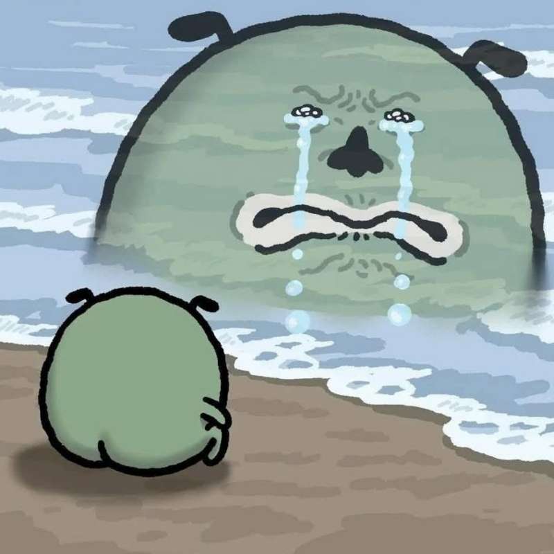 meme tuyet vong 19