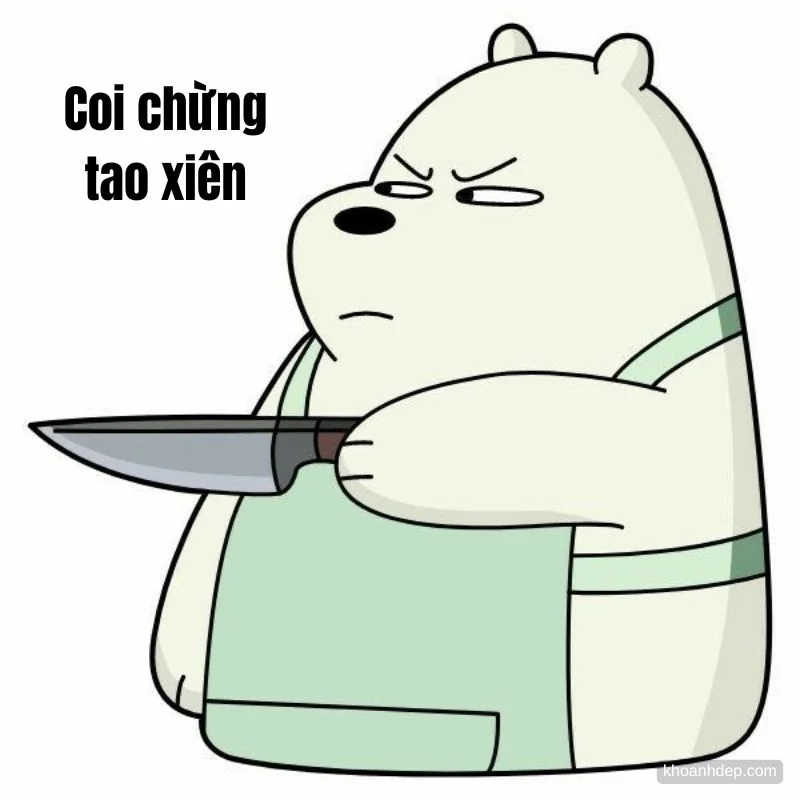ảnh meme gấu trúc cầm dao đe dọa cực hài