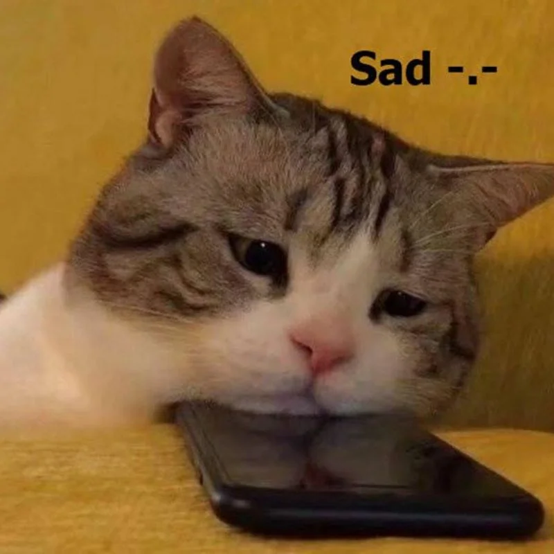 Mèo meme buồn nằm úp mặt, gác đầu lên điện thoại thể hiện sự chán nản trên ghế sofa