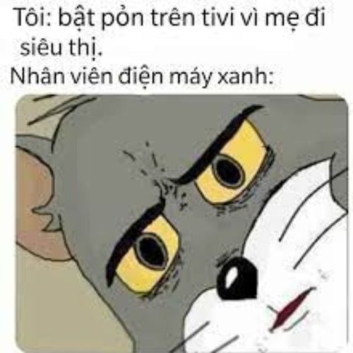 Ảnh chế mèo Tom nhíu mày tức giận đầy hài hước về nhân viên điện máy