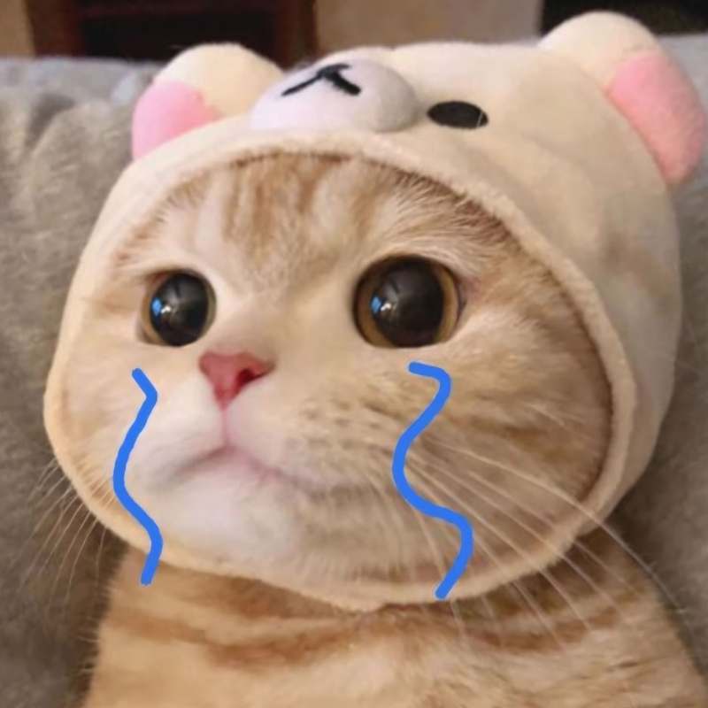 Mèo nhỏ khóc meme