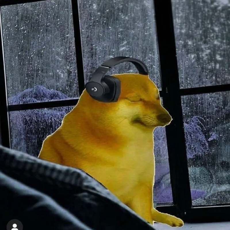 Meme Doge nghe nhạc giữa đêm đầy tâm trạng