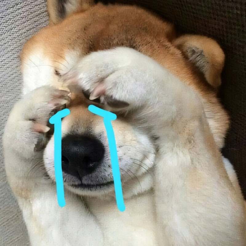 Ảnh meme chó Shiba khóc cực đáng thương