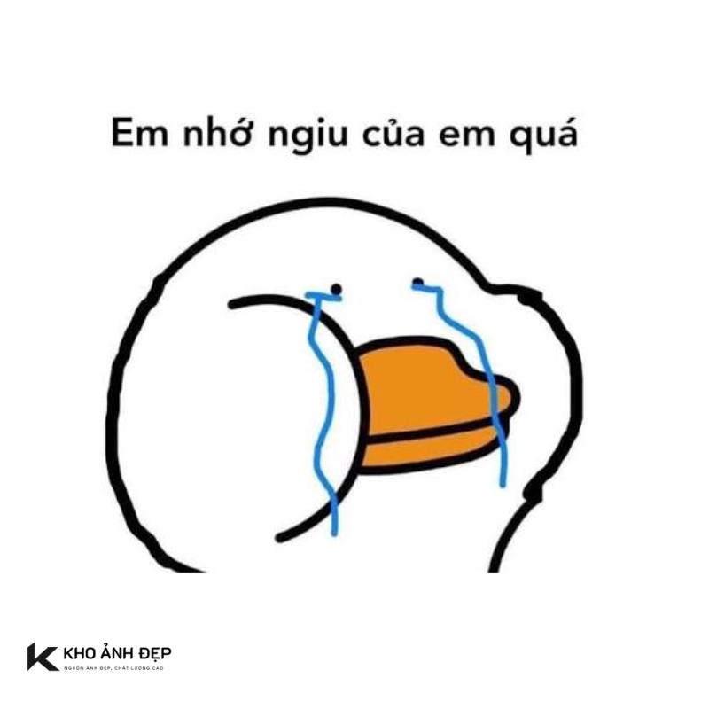 meme vịt nhớ người yêu